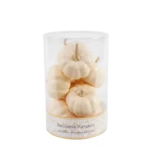 Flora Bunda 3 in. Fall Harvest Cream White Plastic Foam Pumpkin Filler in PVC Box (8-Pieces Per Box)