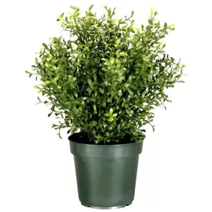 National Tree Company 30 in. Argentea Artificial Plant in Round Green Growers Pot