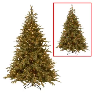 National Tree Company 6 ft. Frasier Grande Artificial Christmas Tree with Dual Color LED Lights
