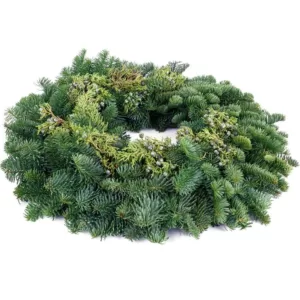 VAN ZYVERDEN 20 in. Live Fresh Cut Pacific Northwest Juniper Christmas Wreath