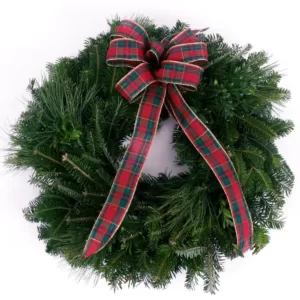 VAN ZYVERDEN 16 in. Live Fresh Cut Blue Ridge Mountain Mixed Window Christmas Wreath with Bow