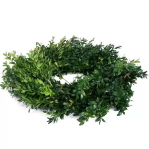 VAN ZYVERDEN 22 in. Live Fresh Cut Blue Ridge Mountain Box Wood Christmas Wreath