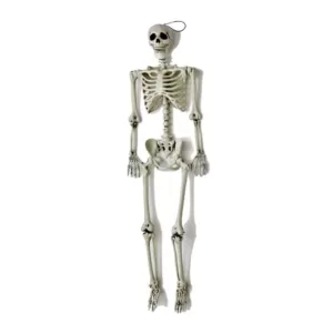 Worth Imports 60 in. Halloween Life Size Hanging Skeleton